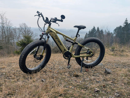 Cyrusher Rover Full Suspension E-Bike | 750W,52V 15.6Ah
