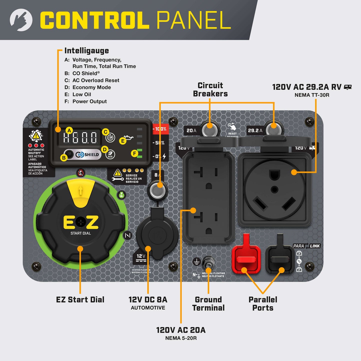 Champion 2001319 3500W/4500W Generator Dual Fuel Inverter Electric Start with CO Shield New - 201319