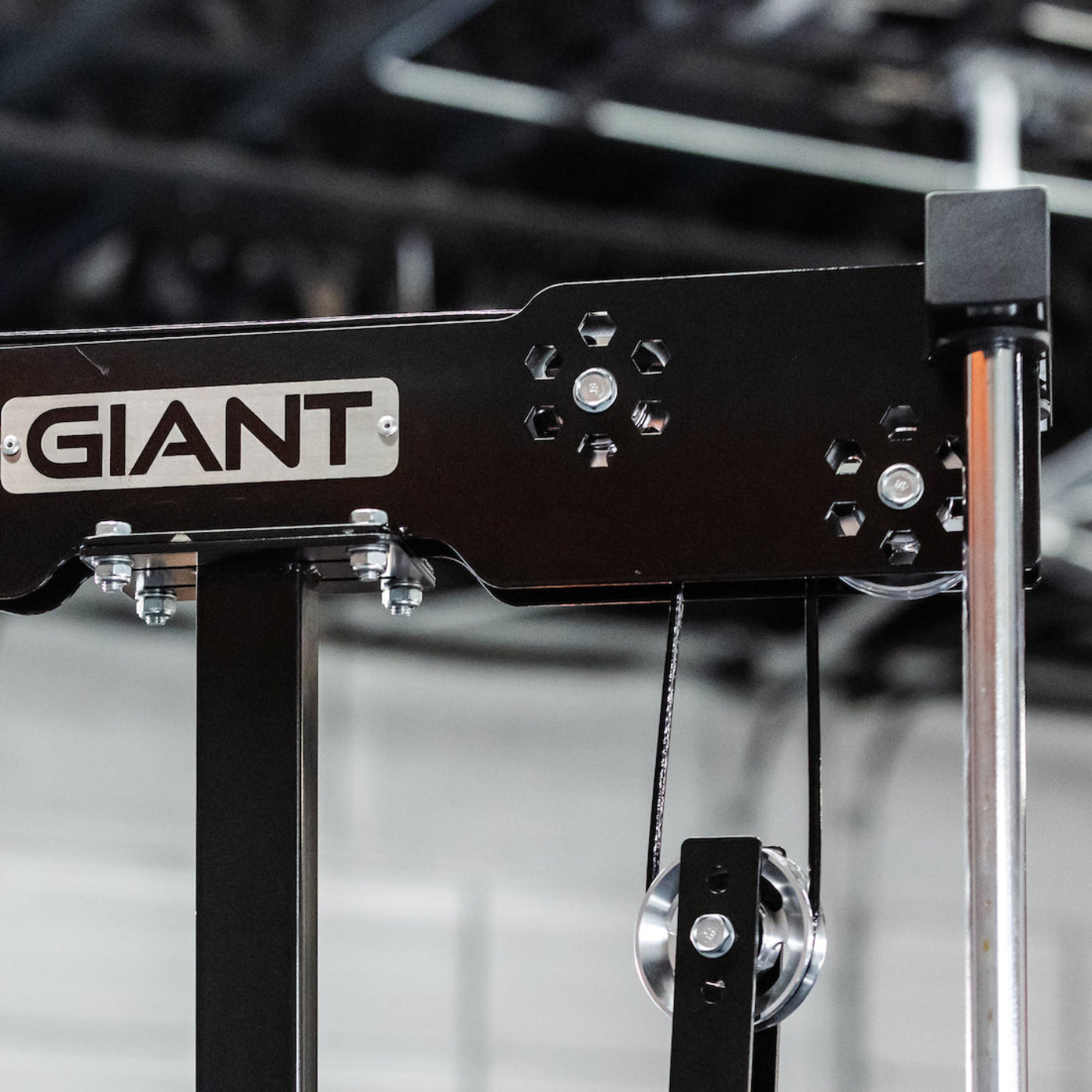 GIANT Standalone Lat & Low Row - STANDALONE