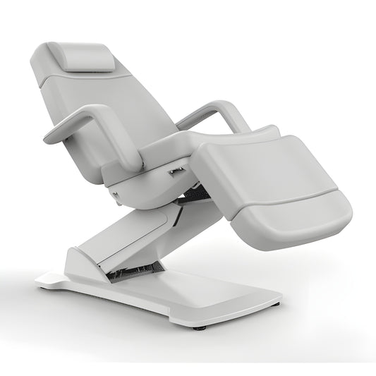 Silver Fox 3 Section Electric Facial Bed / PMU Chair Package - 2221D