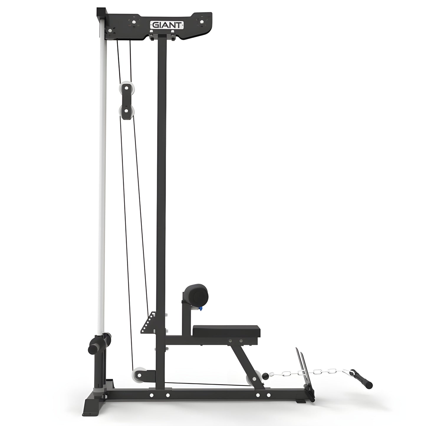 GIANT Standalone Lat & Low Row - STANDALONE