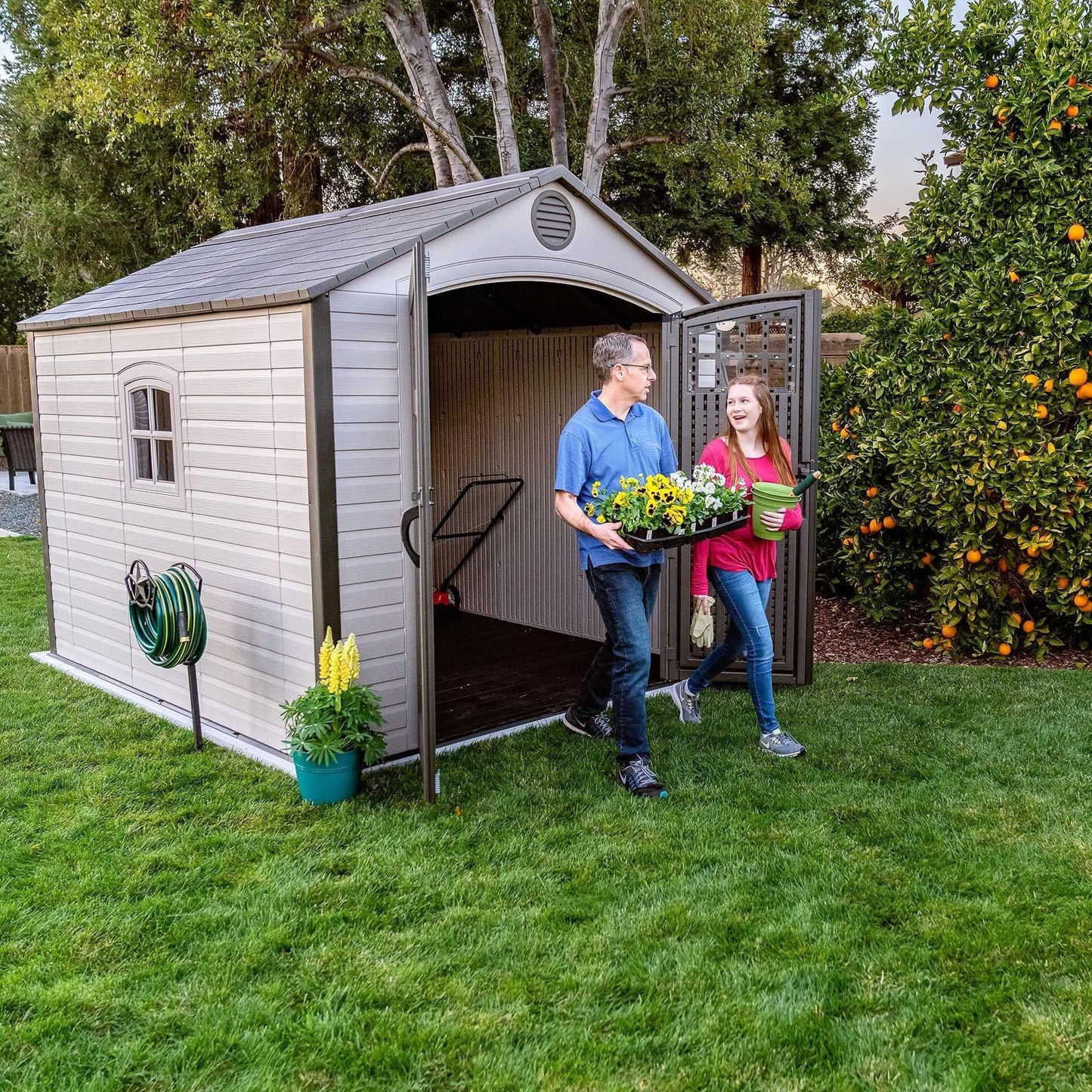 Lifetime 8 Ft. X 10 Ft. Outdoor Storage Shed - 60117 - Backyard Provider