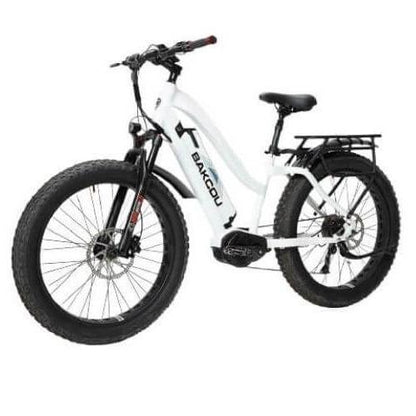 Bakcou Mule 24" Step-Thru (ST) 1000W Fat Tire Adventure Ebike