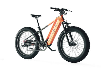 Cyrusher Model   L5   |   52V20Ah High-Performance E-Bike | 750W 20Ah