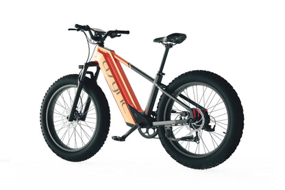 Cyrusher Model   L5   |   52V20Ah High-Performance E-Bike | 750W 20Ah
