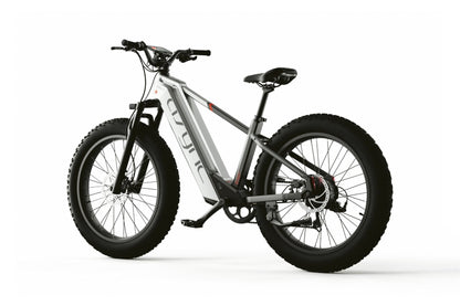 Cyrusher Model   L5   |   52V20Ah High-Performance E-Bike | 750W 20Ah