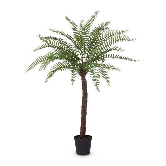 Park Hill Collection Garden Floral Giant Tree Fern in Growers Pot, 83"  - EBQ26091