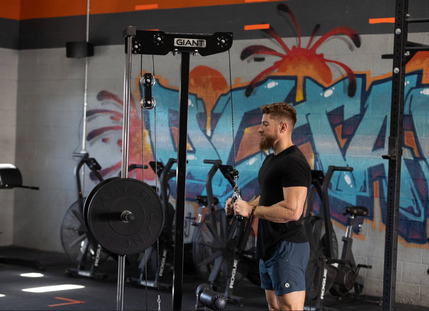 GIANT Standalone Lat & Low Row - STANDALONE
