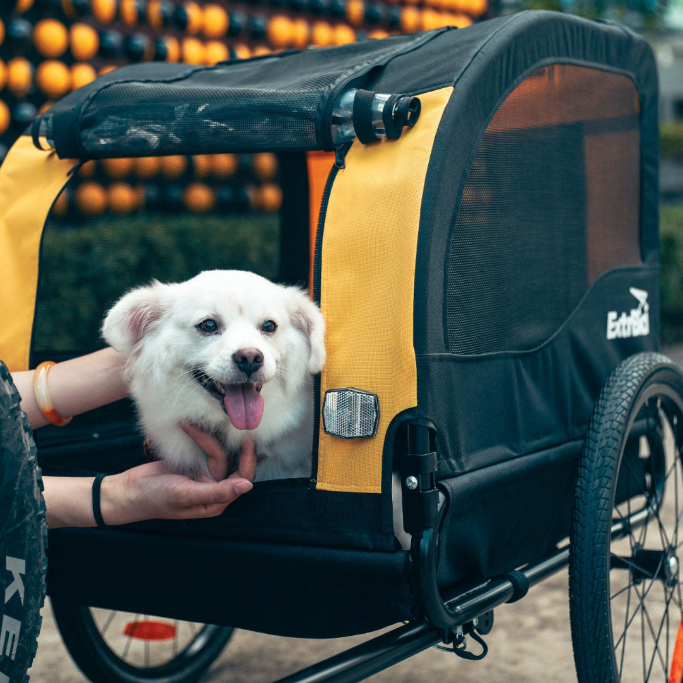 Cyrusher Pet Bike Trailer - US-Pet-Bike-Trailer