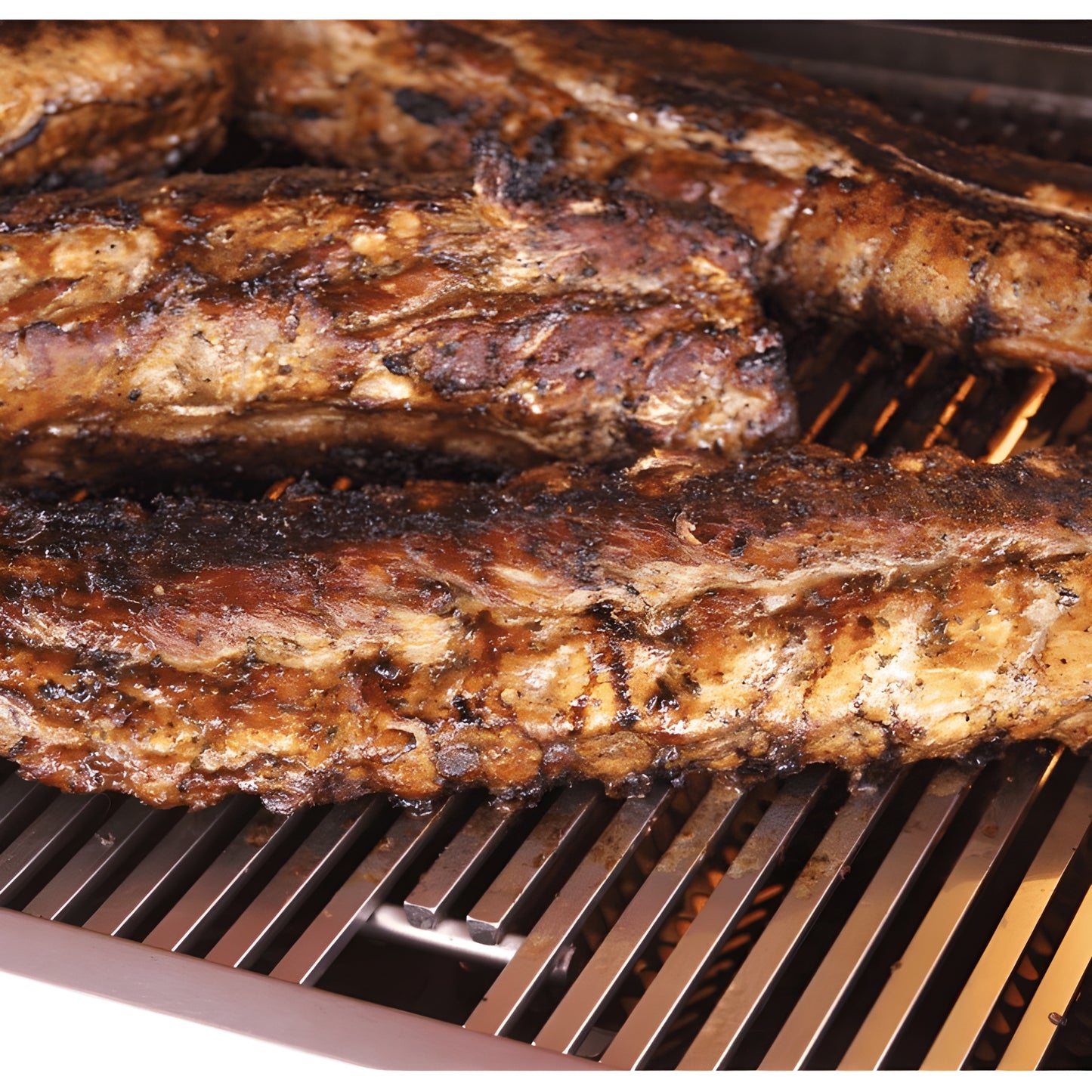 Fire Magic Choice C540I 30-Inch Built-In Natural Gas Grill With Analog Thermometer - C540I-RT1N