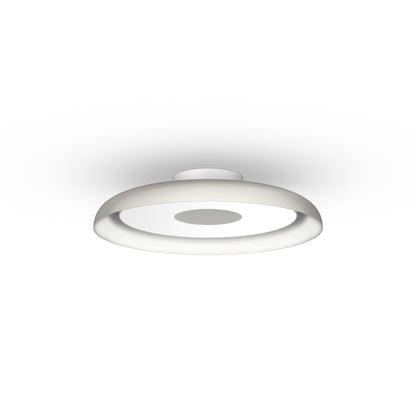 Pablo Designs Nivél Flush 15 Wall/Ceiling Lamp