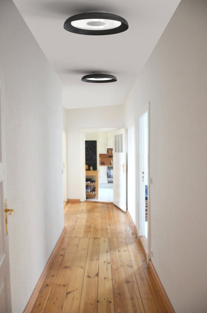 Pablo Designs Nivél Flush 15 Wall/Ceiling Lamp