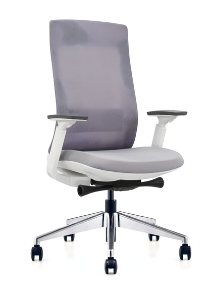 EuroTech Elevate Executive Task Chair White Frame - EUR-ELV2-WHT