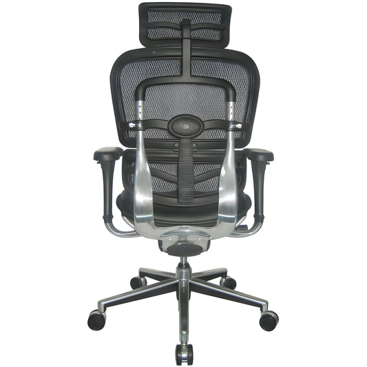 EuroTech Ergohuman Leather Mesh High Back Executive - EUR-LEM4ERG